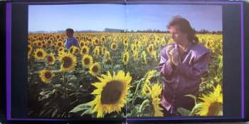 Simple Minds: Live In The City Of Light