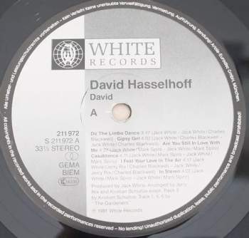 David Hasselhoff: David