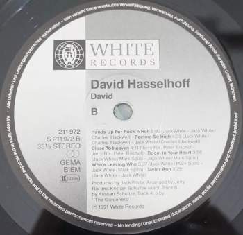 David Hasselhoff: David
