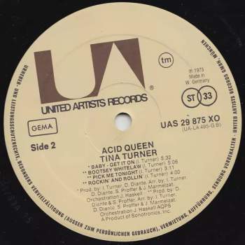 Tina Turner: Acid Queen