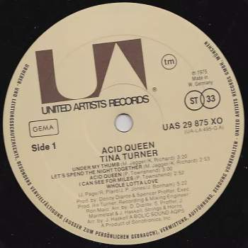 Tina Turner: Acid Queen