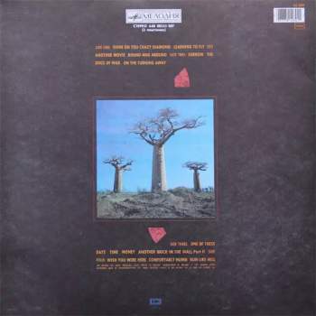 Pink Floyd: Delicate Sound Of Thunder