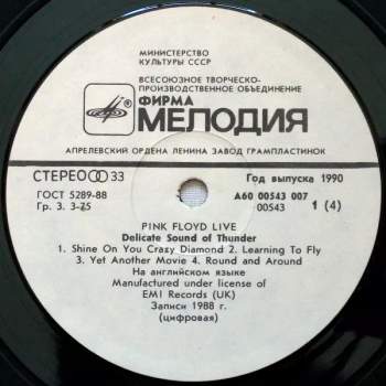 Pink Floyd: Delicate Sound Of Thunder