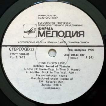 Pink Floyd: Delicate Sound Of Thunder