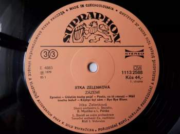 Jitka Zelenková: Zázemí