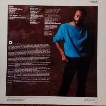 Bobby McFerrin: The Voice