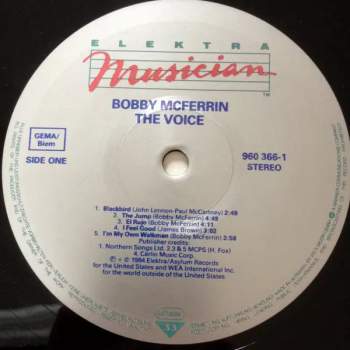 Bobby McFerrin: The Voice