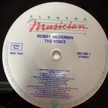 Bobby McFerrin: The Voice