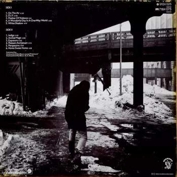 Peter Gabriel: Peter Gabriel