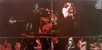 The Doors: Absolutely Live