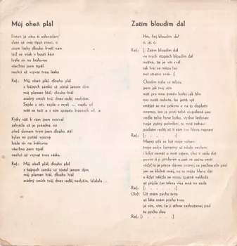 The Speakers: Můj Oheň Plál / Zatím Bloudím Dál
