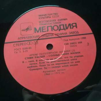 Stevie Wonder: Sunshine Of My Life = Солнце Моей Жизни