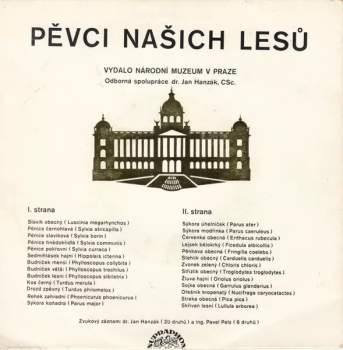 No Artist: Pěvci Našich Lesů