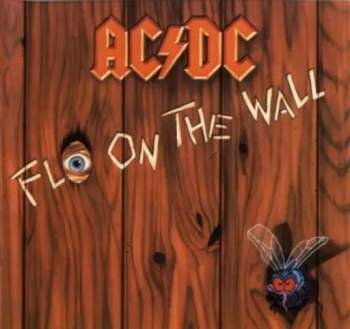 Fly On The Wall