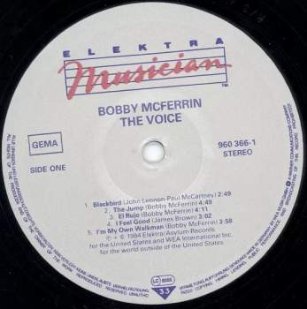 Bobby McFerrin: The Voice