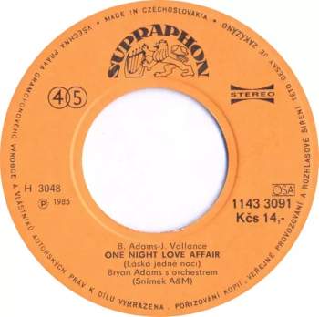 Bryan Adams: Run To You (Běžím Za Tebou) / One Night Love Affair (Láska Jedné Noci)