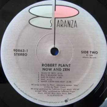 Robert Plant: Now And Zen