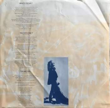 Robert Plant: Now And Zen