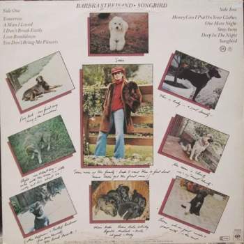 Barbra Streisand: Songbird