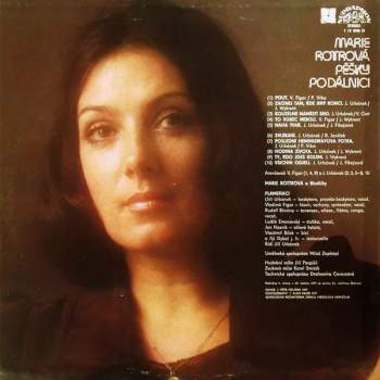 Marie Rottrová: Pěšky Po Dálnici