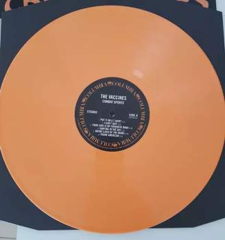 The Vaccines: Combat Sports LTD | CLR
