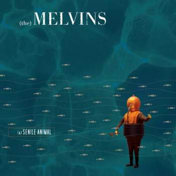 Melvins: (A) Senile Animal LTD | CLR