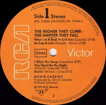 David Cassidy: The Higher They Climb - The Harder They Fall
