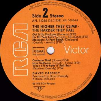 David Cassidy: The Higher They Climb - The Harder They Fall