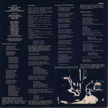 Peter Gabriel: Peter Gabriel