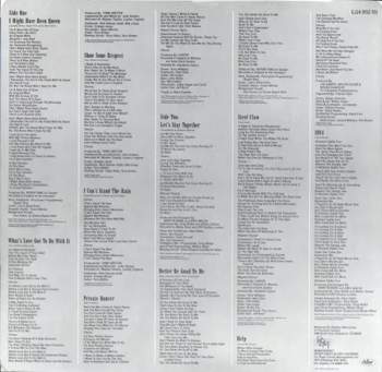 Tina Turner: Private Dancer