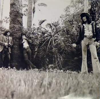 Bill Wyman: Monkey Grip