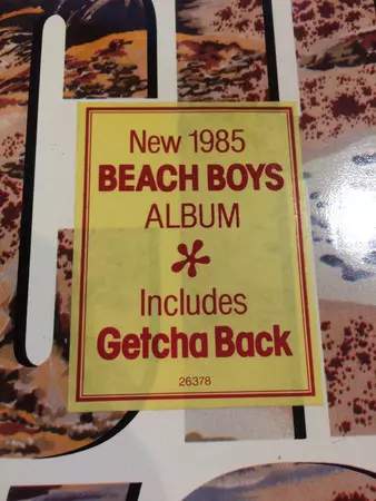 The Beach Boys: The Beach Boys