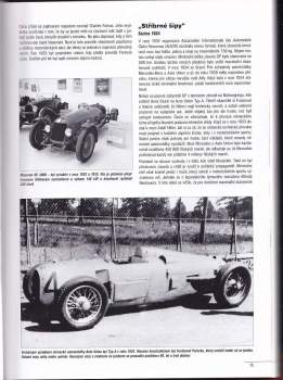 David Selucký: Grand Prix a Formule 1