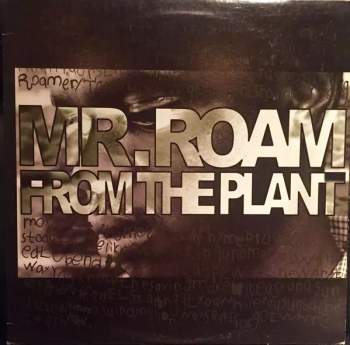 Mr. Roam from the Plant: Groupie Central/Sunny Kiss Is Wack (MAXISINGL)