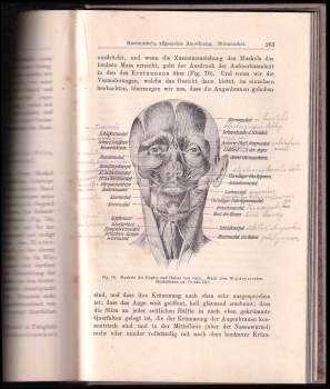 Mathias Duval: Grundriss der Anatomie für künstler