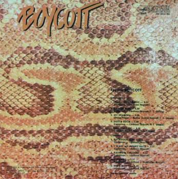 Boycott: Группа Boycott