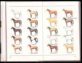 Caroline Silver: Guide to the Horses of the World
