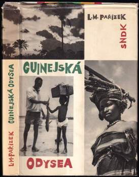 Guinejská odysea