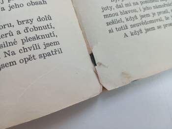 Jonathan Swift: Gulliver mezi obry
