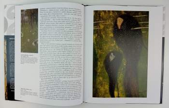 Gilles Néret: Gustav Klimt