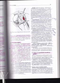 Karel Citterbart: Gynekologie