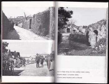 Adolf Parlesák: Habešská odysea