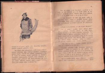 Josef Merhaut: Had a jiné povídky