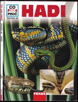 Hadi