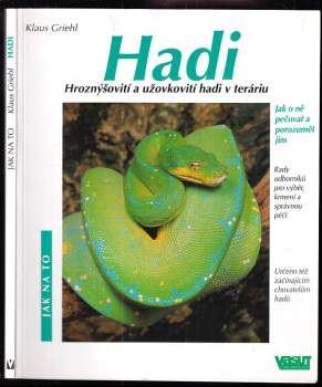 Hadi