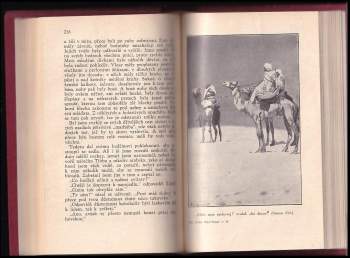 Karl May: Hadži Halef Omar