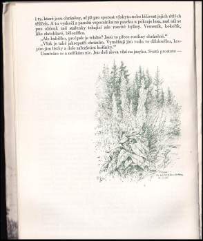 Viktor Palivec: Hájemství zelené