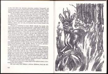 Jaromír Javůrek: Halali