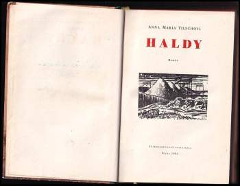 Anna Maria Tilschová: Haldy