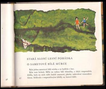 Daisy Mrázková: Haló, Jácíčku